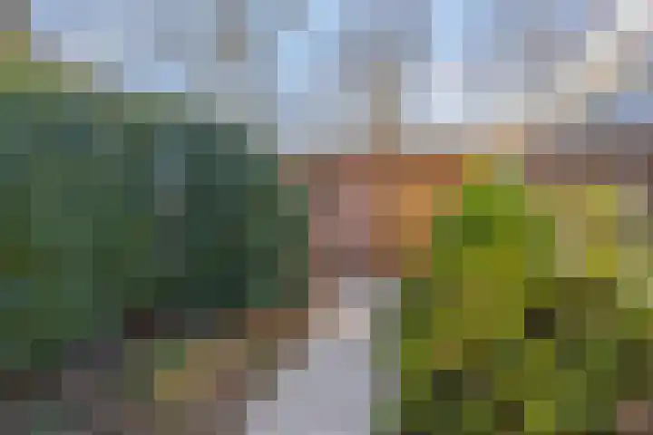Dr. J.J. van der Horststraat 2 Zaandijk thumbnail 41