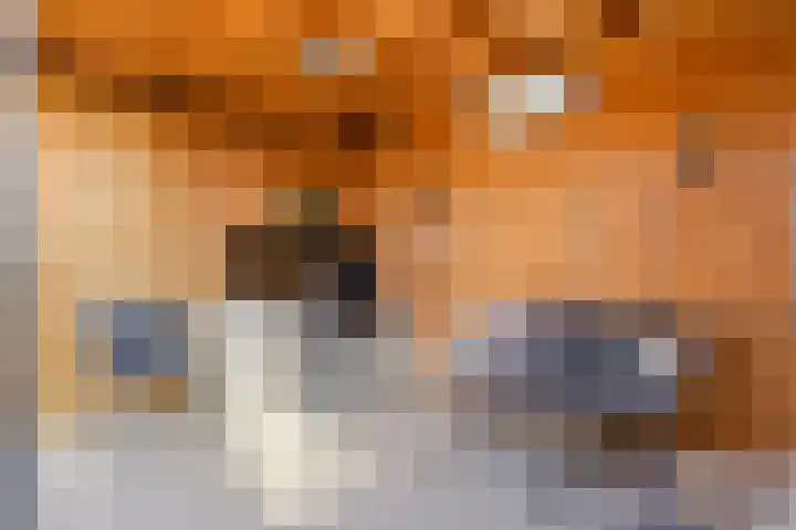 Dr. J.J. van der Horststraat 2 Zaandijk thumbnail 44