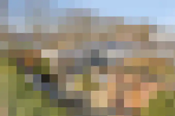 Dr. J.J. van der Horststraat 2 Zaandijk thumbnail 6