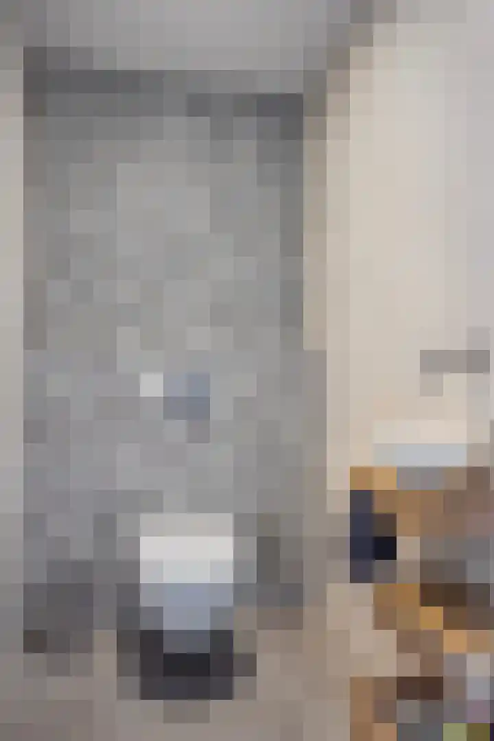 Dr. J.J. van der Horststraat 2 Zaandijk thumbnail 8