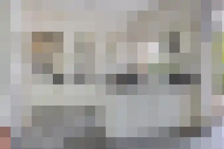 Dr. J.J. van der Horststraat 3 Zaandijk thumbnail 11