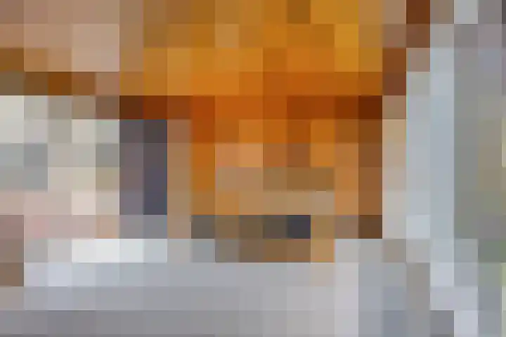 Dr. J.J. van der Horststraat 3 Zaandijk thumbnail 17