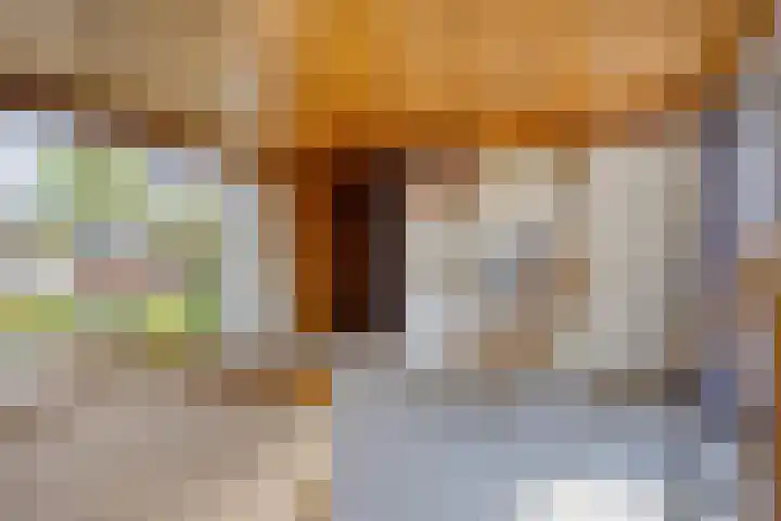 Dr. J.J. van der Horststraat 3 Zaandijk thumbnail 18