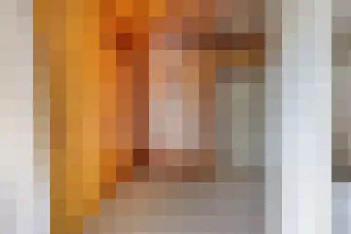 Dr. J.J. van der Horststraat 3 Zaandijk thumbnail 19