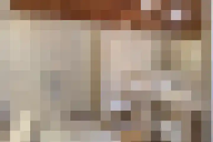 Dr. J.J. van der Horststraat 3 Zaandijk thumbnail 20