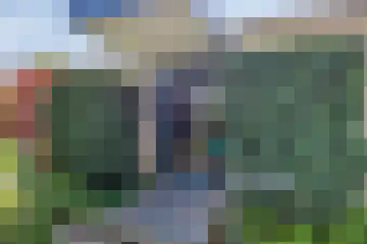 Dr. J.J. van der Horststraat 3 Zaandijk thumbnail 28
