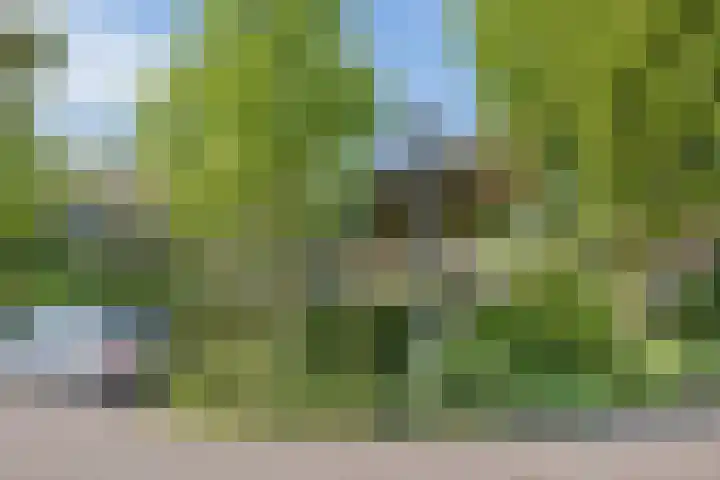 Dr. J.J. van der Horststraat 3 Zaandijk thumbnail 29