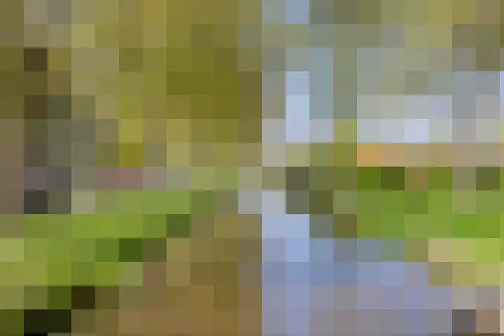 Dr. J.J. van der Horststraat 3 Zaandijk thumbnail 32