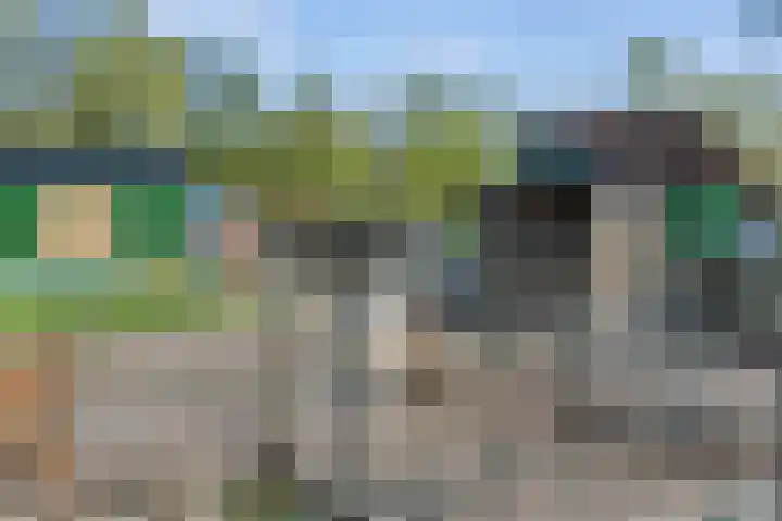 Dr. J.J. van der Horststraat 3 Zaandijk thumbnail 33