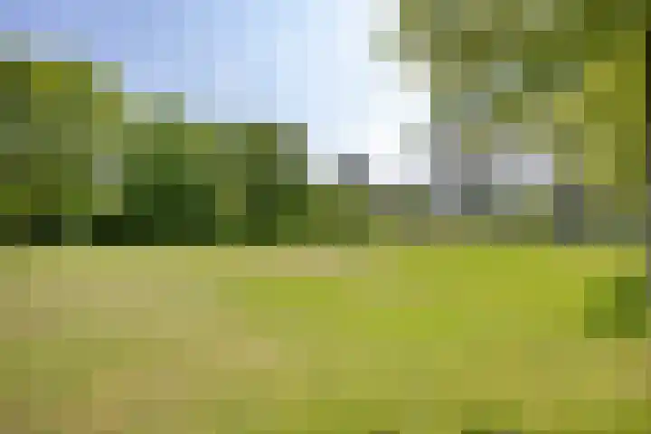 Dr. J.J. van der Horststraat 3 Zaandijk thumbnail 34