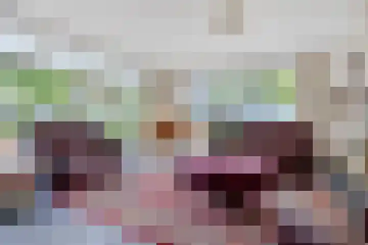 Dr. J.J. van der Horststraat 3 Zaandijk thumbnail 5