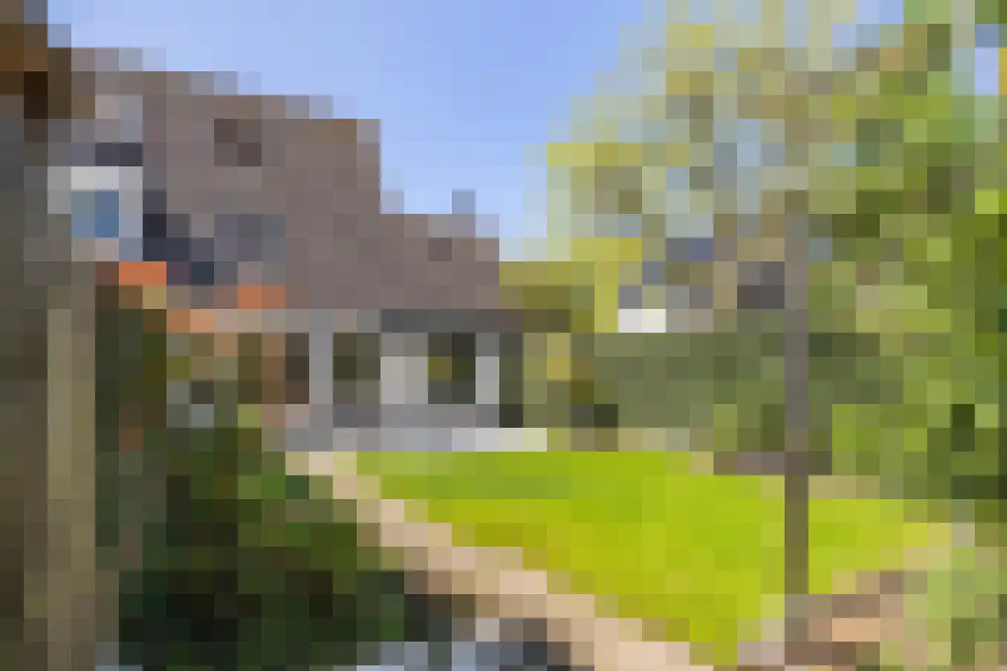 Dr. J.M. den Uylstraat 24 Gorinchem thumbnail 10