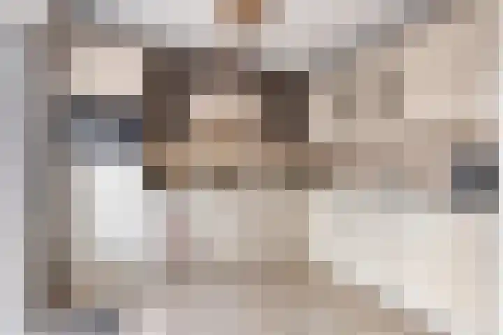 Dr. J.M. den Uylstraat 36 Oosterhout thumbnail 8