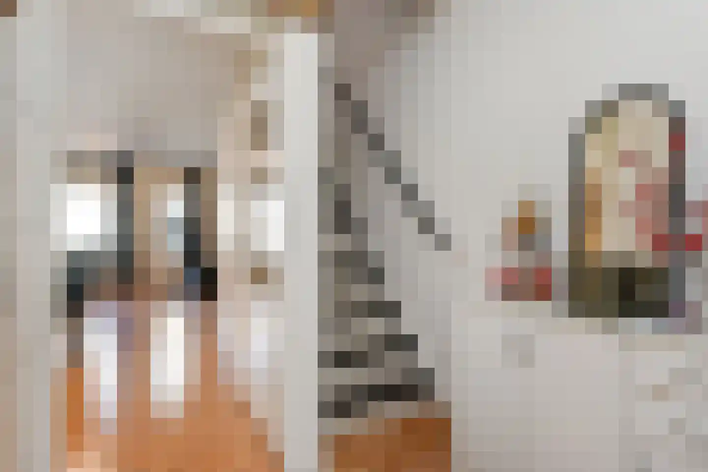 Dr. J. Presserstraat 329 Den Haag thumbnail 8