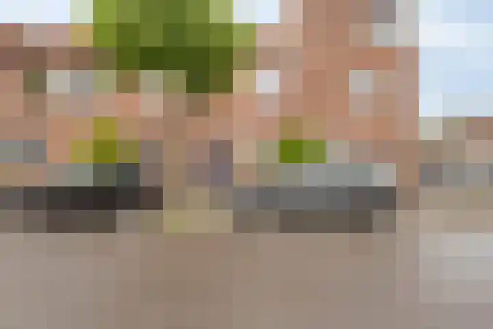 Dr. J. Presserstraat 339 in Den Haag