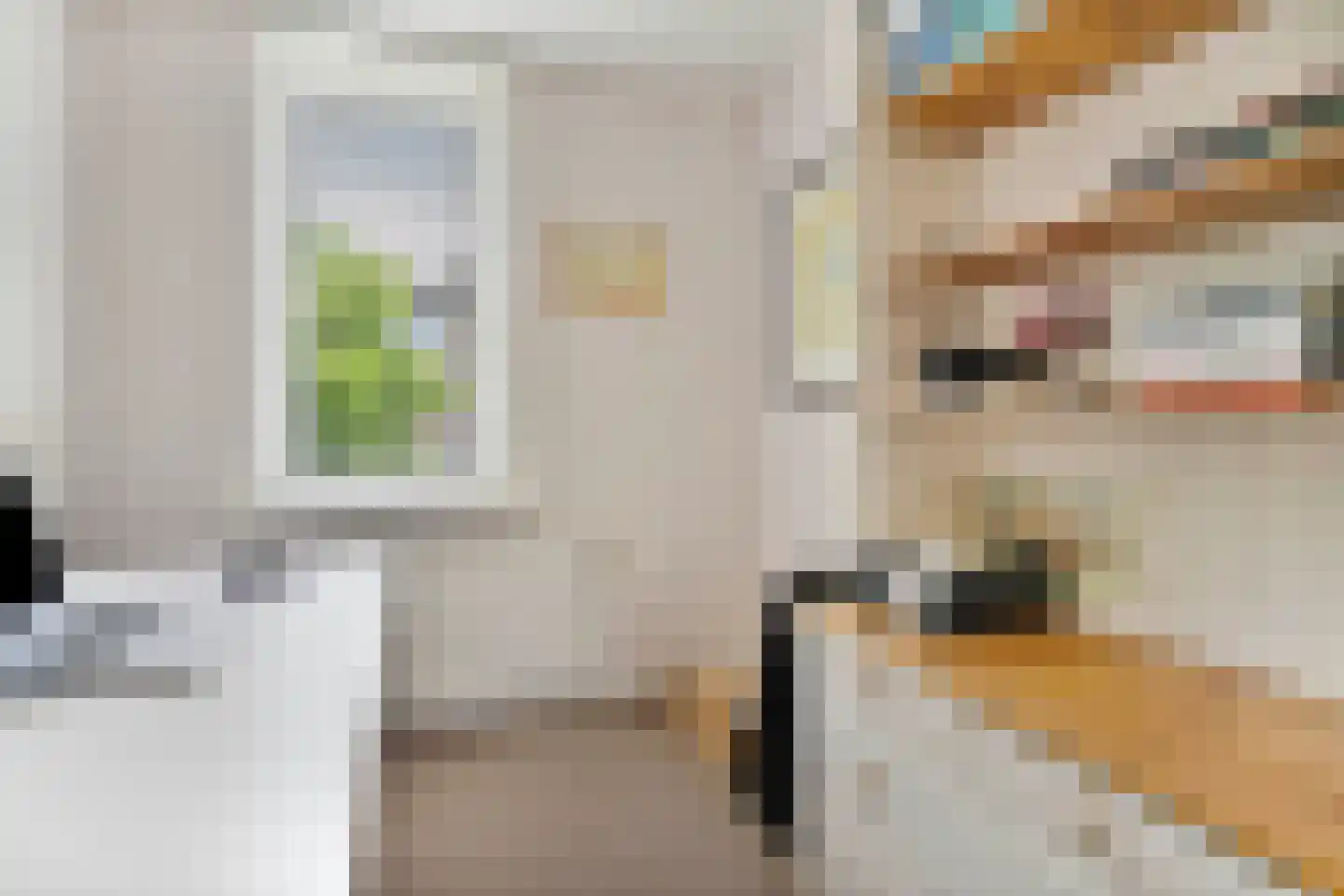 Dr. J. Presserstraat 66 Den Haag thumbnail 32