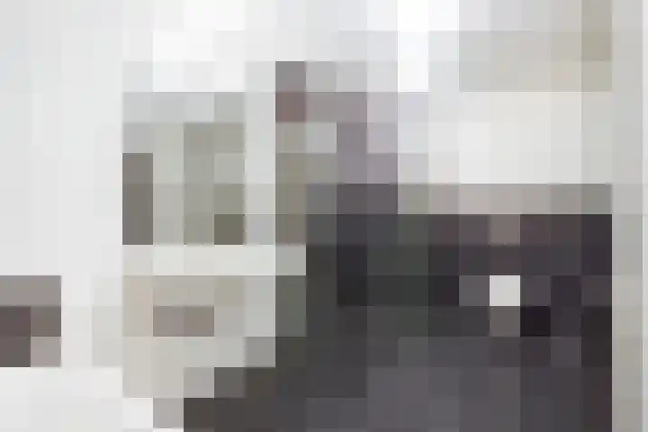 Dr. J. Presserstraat 79 Den Haag thumbnail 5