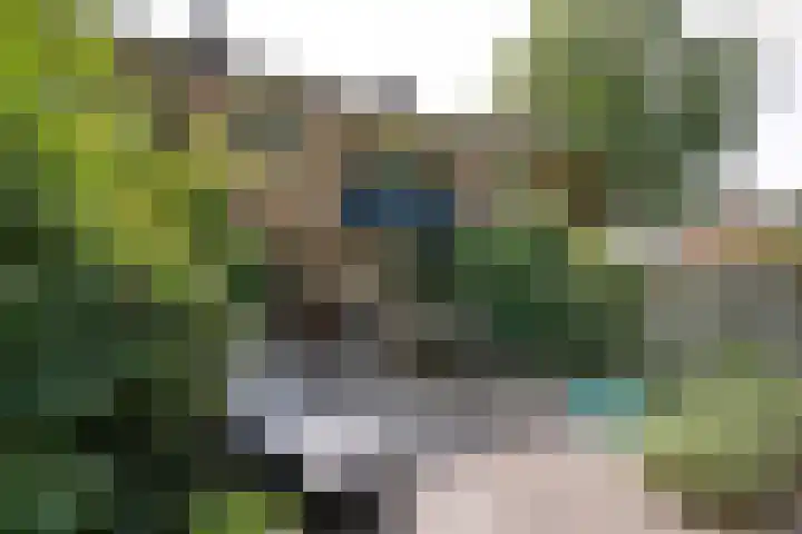 Dr. J.R. Thorbeckelaan 113 Heemstede thumbnail 10