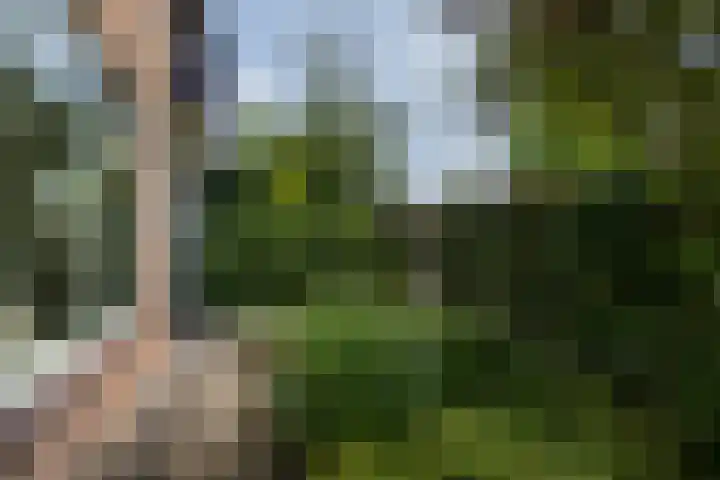 Dr. J.R. Thorbeckelaan 113 Heemstede thumbnail 27