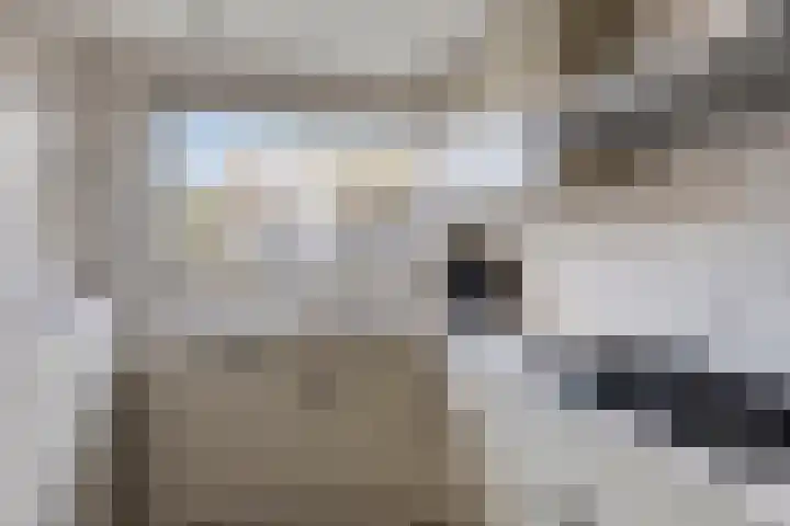 Dr. J. van Beurdenstraat 28 Valkenswaard thumbnail 16