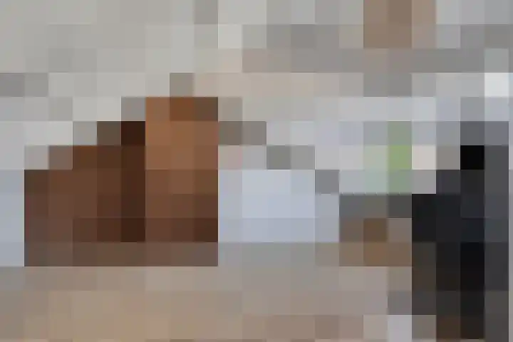 Dr. J. van Beurdenstraat 28 Valkenswaard thumbnail 25