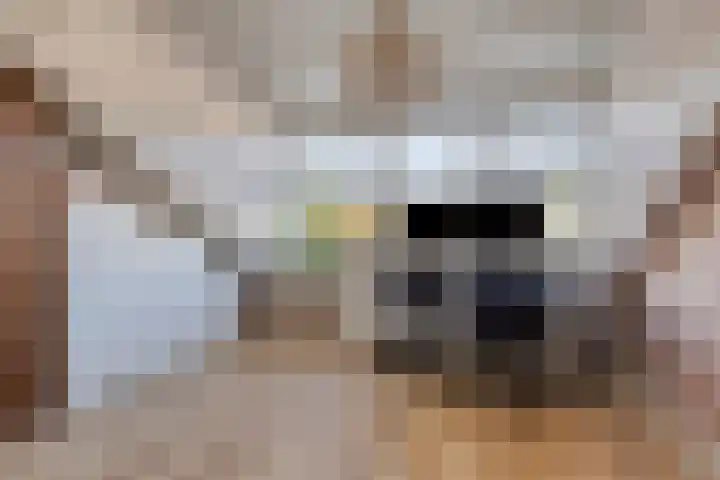 Dr. J. van Beurdenstraat 28 Valkenswaard thumbnail 26