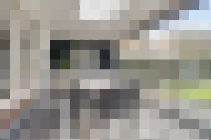 Dr. J. van Beurdenstraat 28 Valkenswaard thumbnail 28