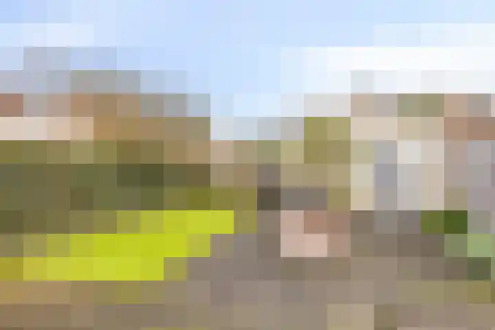 Dr. J. van Beurdenstraat 28 Valkenswaard thumbnail 30
