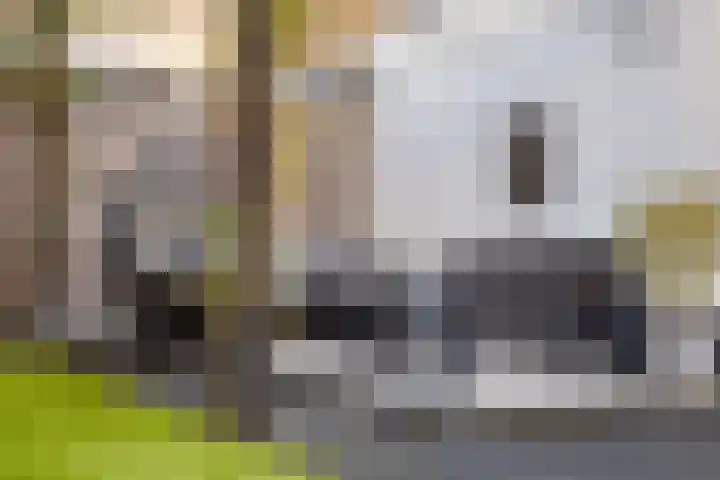Dr. J. van Beurdenstraat 28 Valkenswaard thumbnail 32