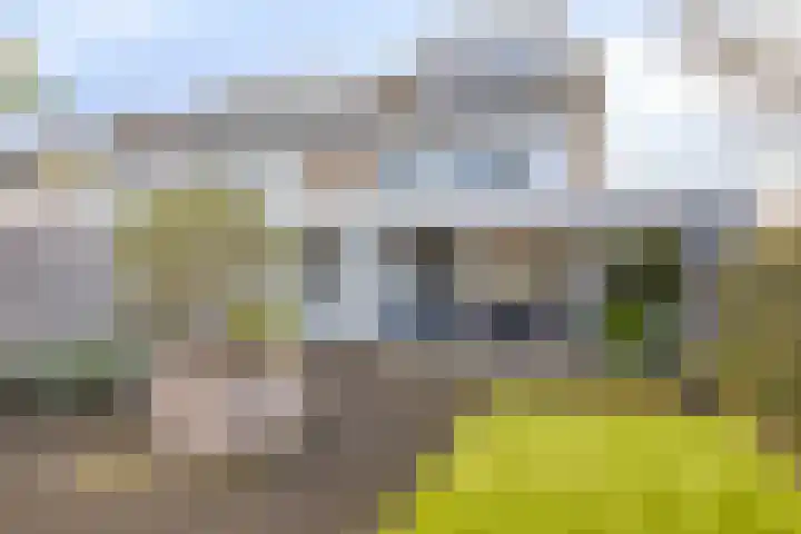 Dr. J. van Beurdenstraat 28 Valkenswaard thumbnail 34