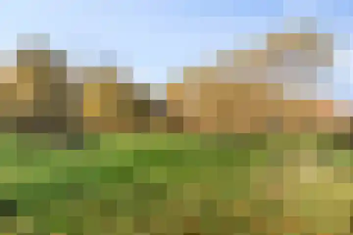 Dr. J. van Beurdenstraat 28 Valkenswaard thumbnail 35