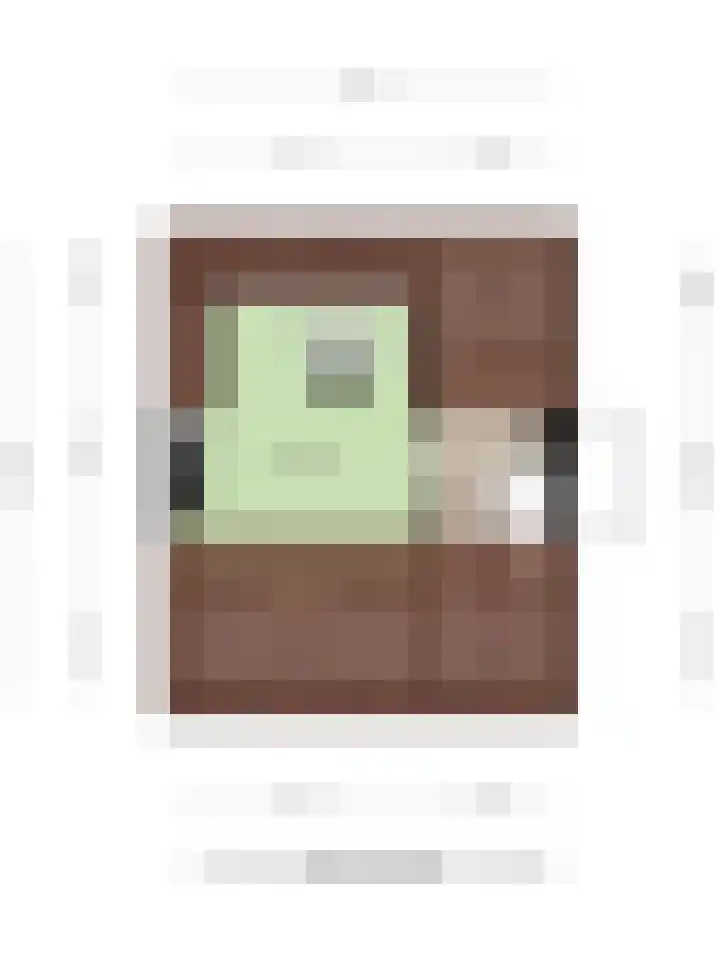 Dr. J. van Beurdenstraat 28 Valkenswaard thumbnail 39