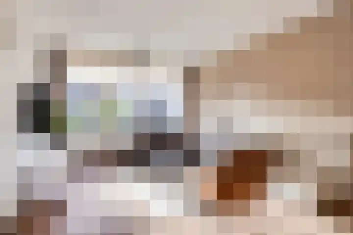 Dr. J. van Beurdenstraat 28 Valkenswaard thumbnail 8