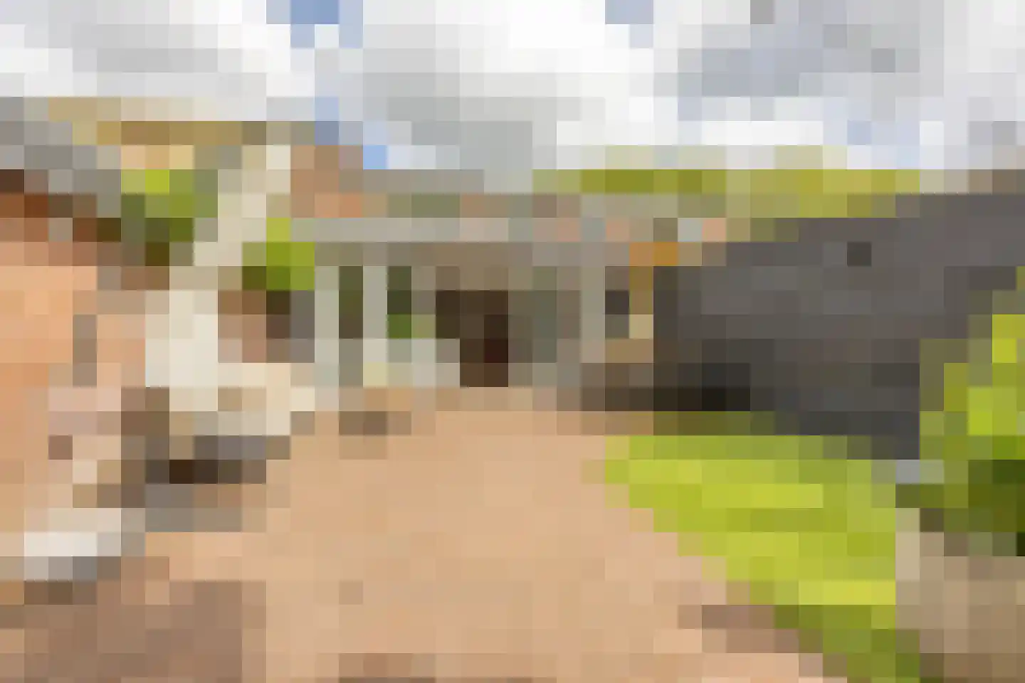 Dr. J. van Deventerlaan 4 Bloemendaal thumbnail 16