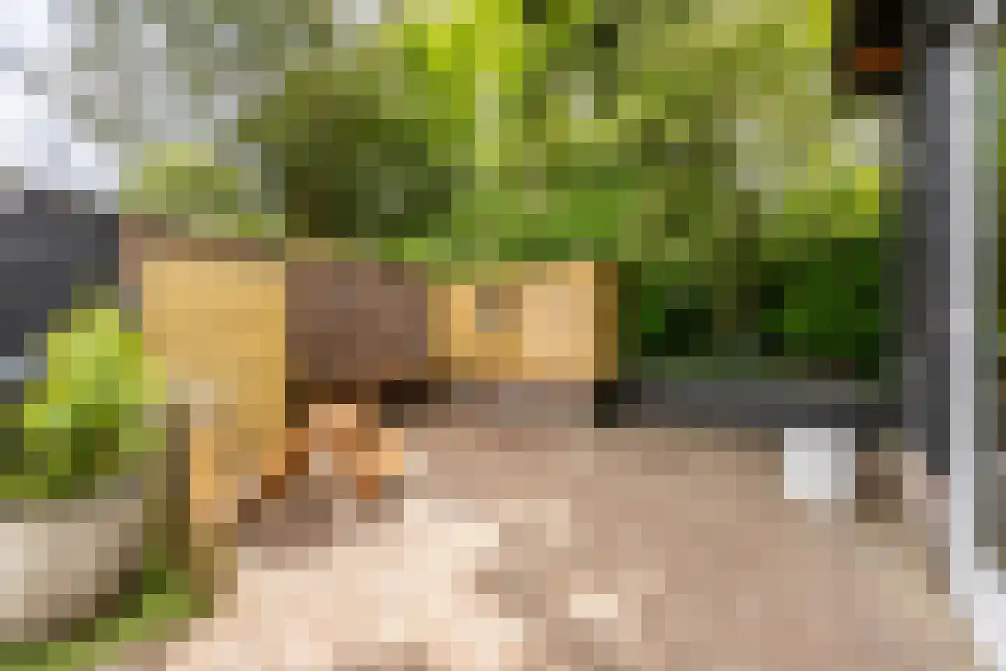 Dr. J. van Deventerlaan 4 Bloemendaal thumbnail 17