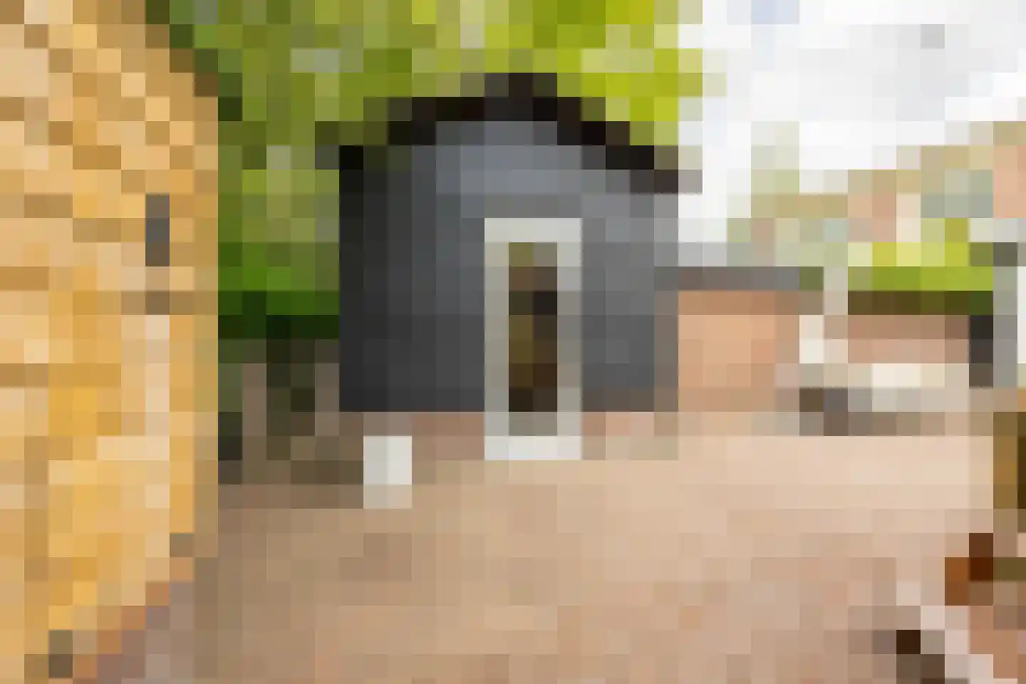 Dr. J. van Deventerlaan 4 Bloemendaal thumbnail 18