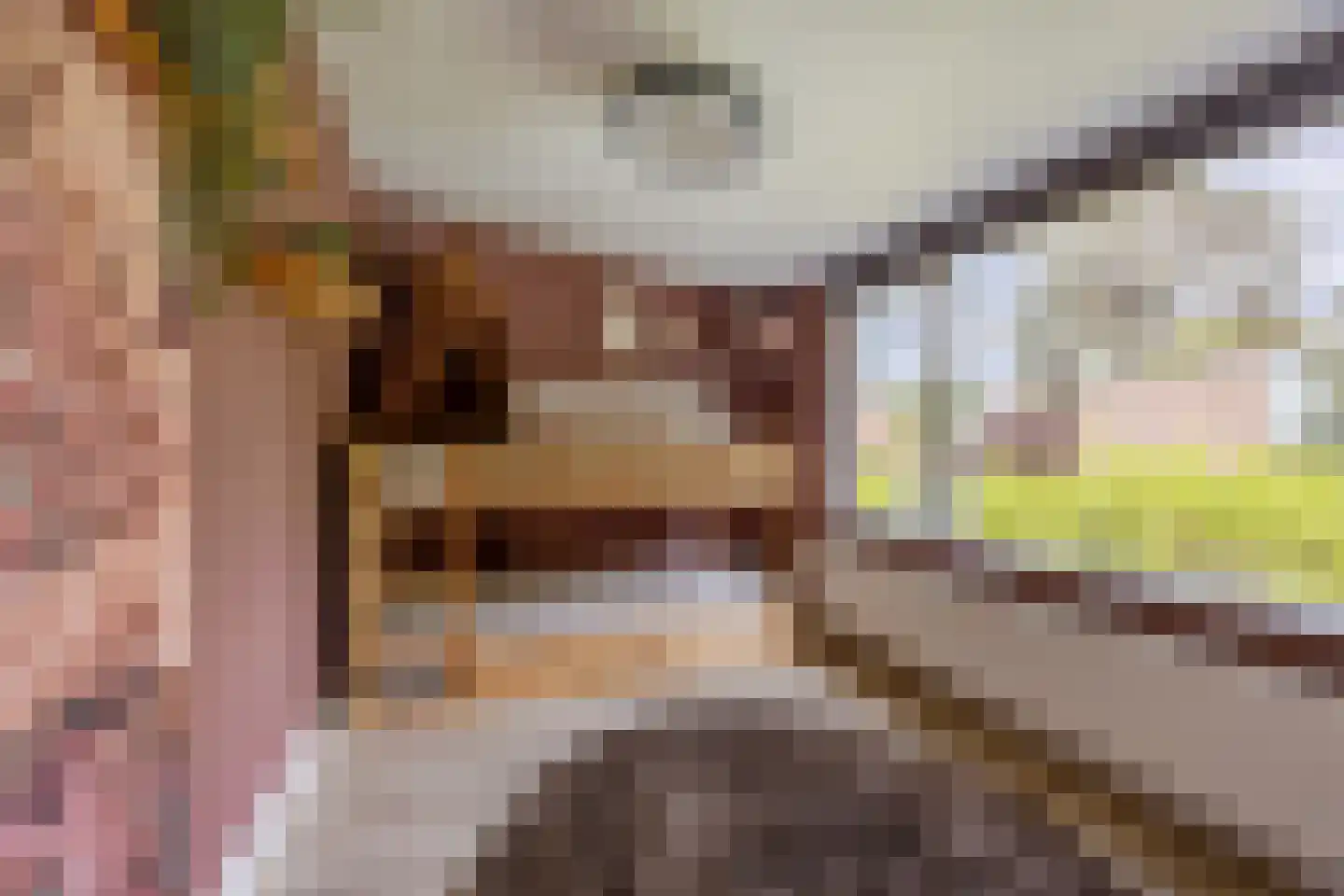 Dr. J. van Deventerlaan 4 Bloemendaal thumbnail 22