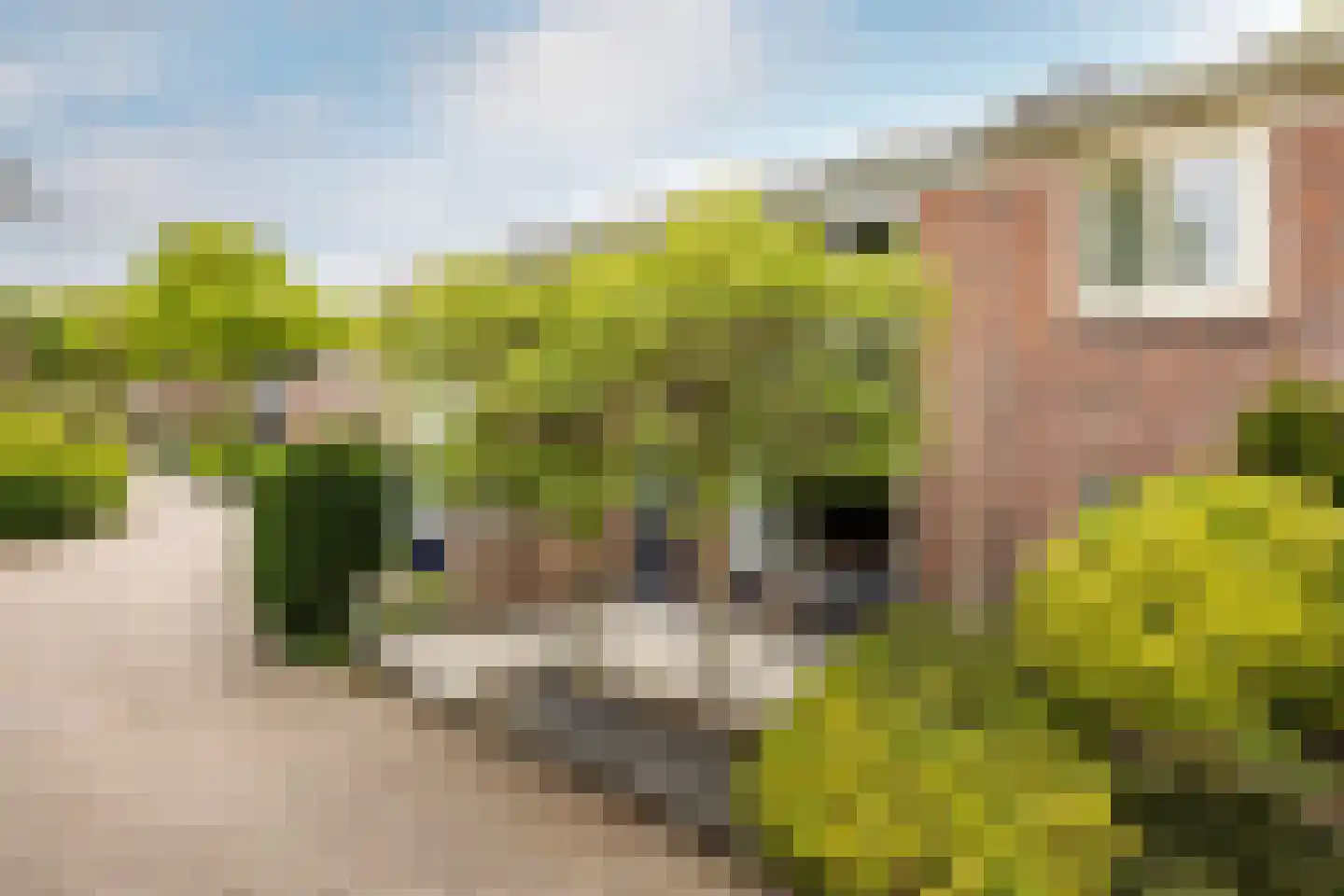 Dr. J. van Deventerlaan 4 Bloemendaal thumbnail 34
