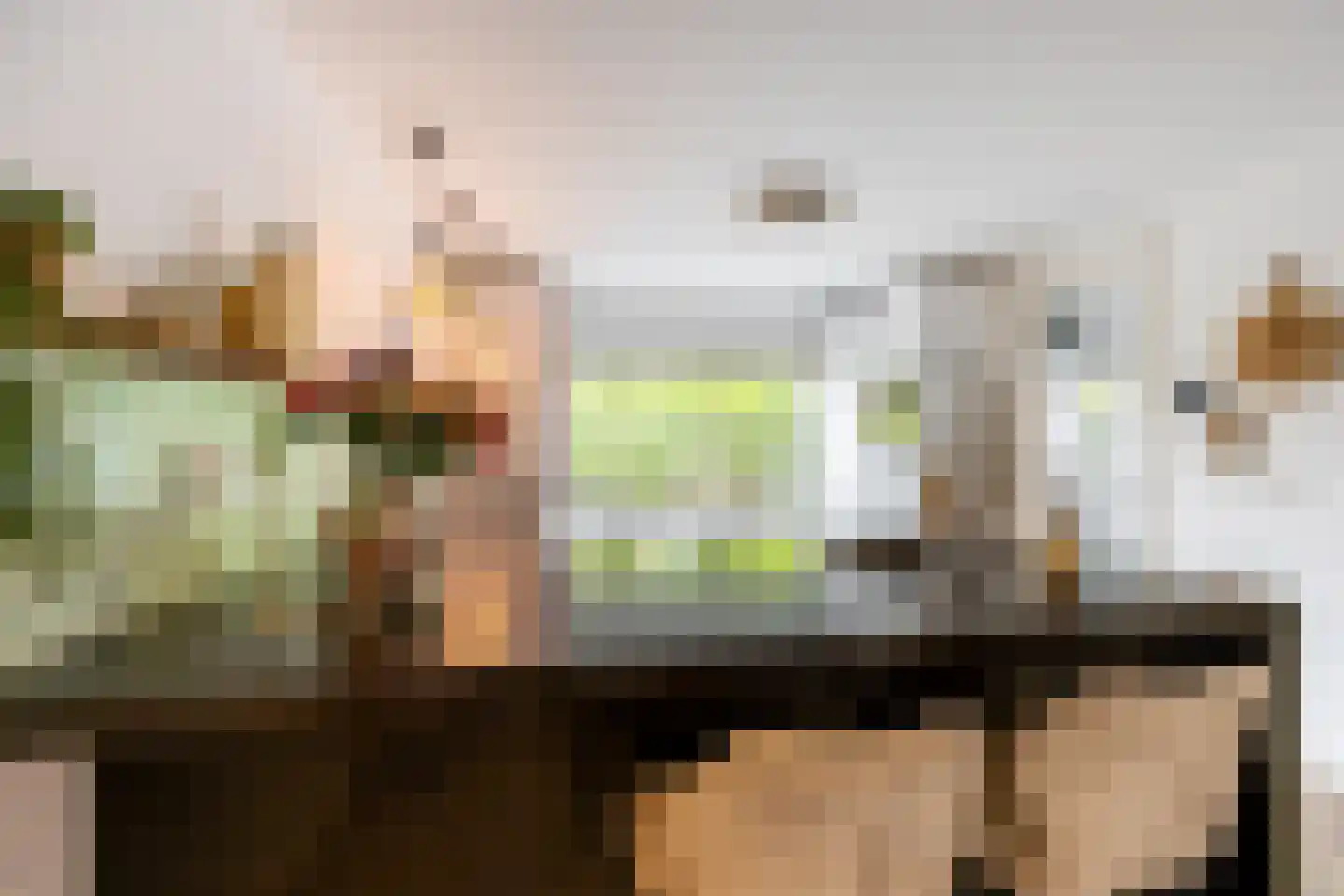 Dr. J. van Deventerlaan 4 Bloemendaal thumbnail 9