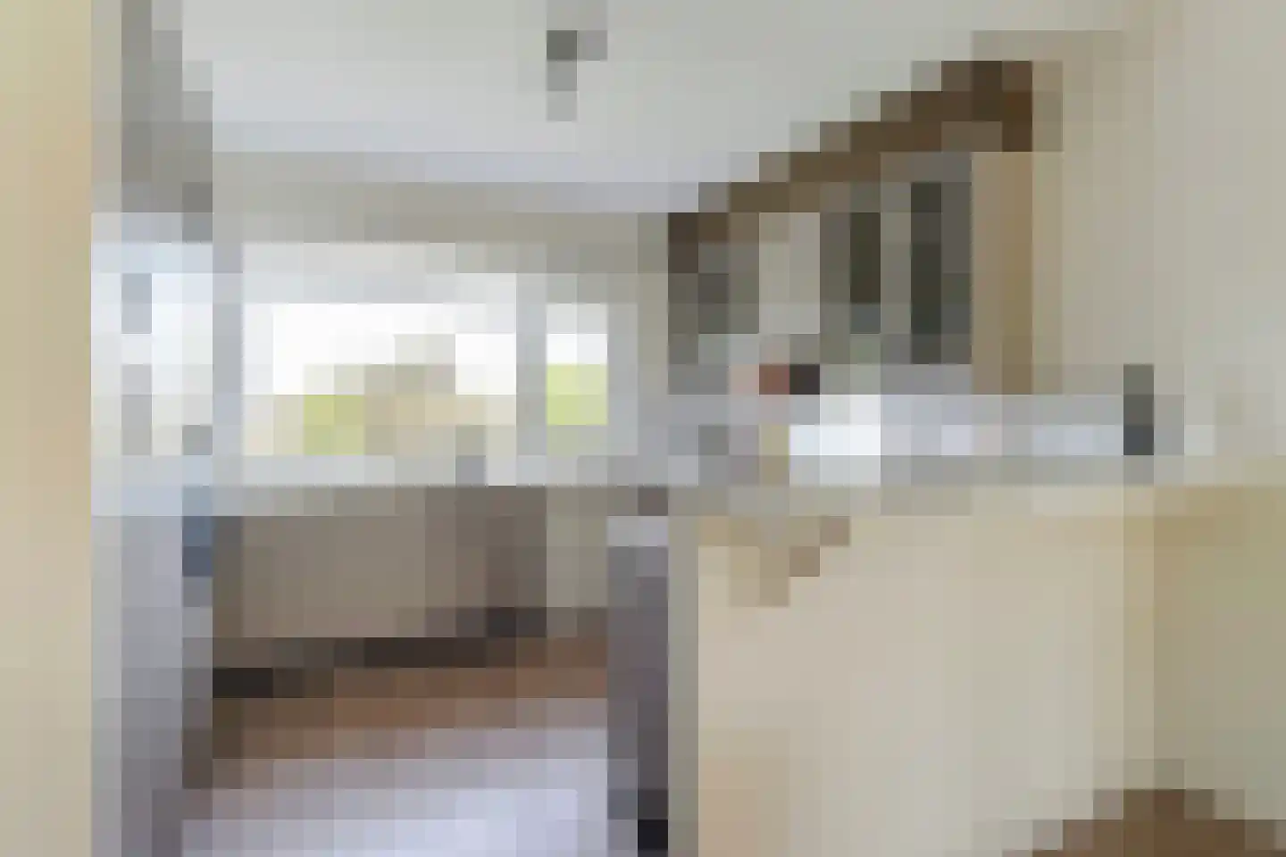 Dr. J. W. Paltelaan 108 Zoetermeer thumbnail 15