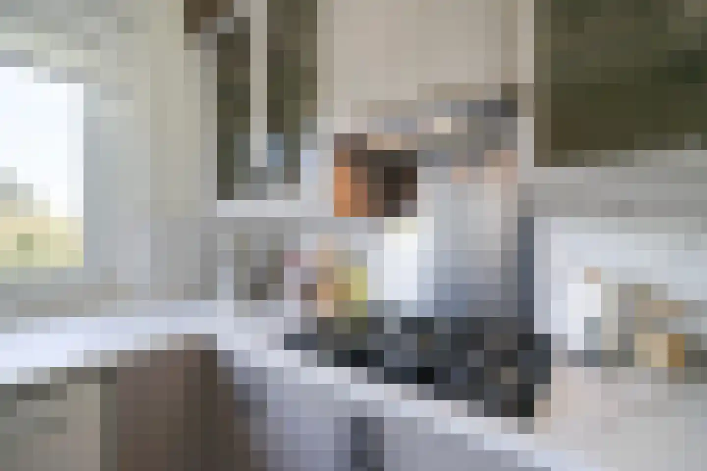 Dr. J. W. Paltelaan 108 Zoetermeer thumbnail 17