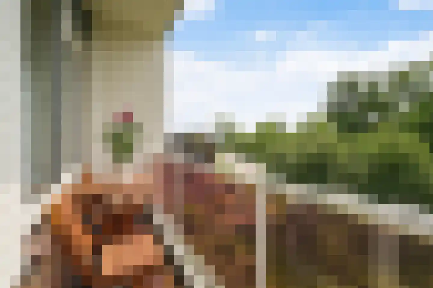 Dr. J. W. Paltelaan 108 Zoetermeer thumbnail 30