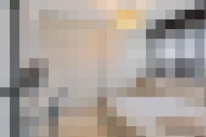 Dr. J. W. Paltelaan 126 Zoetermeer thumbnail 23