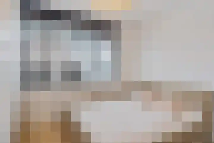 Dr. J. W. Paltelaan 126 Zoetermeer thumbnail 24