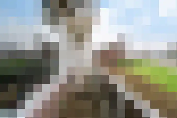 Dr. J. W. Paltelaan 126 Zoetermeer thumbnail 30