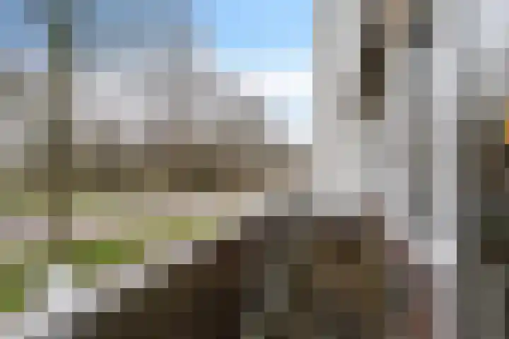 Dr. J. W. Paltelaan 126 Zoetermeer thumbnail 31