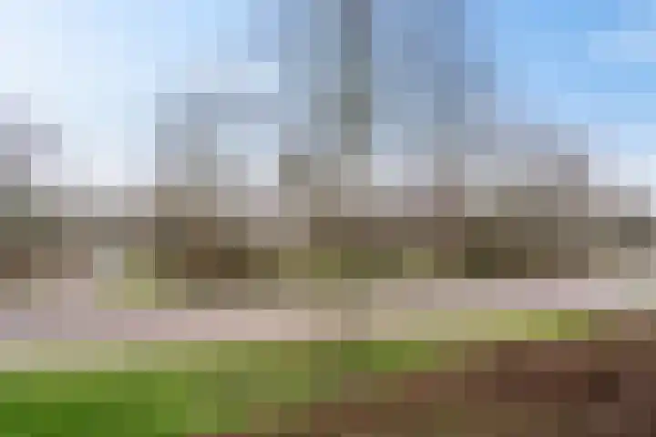 Dr. J. W. Paltelaan 126 Zoetermeer thumbnail 32