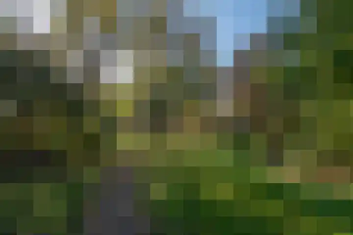 Dr. J. W. Paltelaan 170 Zoetermeer thumbnail 23