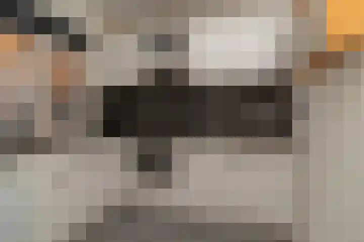 Dr. J. W. Paltelaan 170 Zoetermeer thumbnail 6