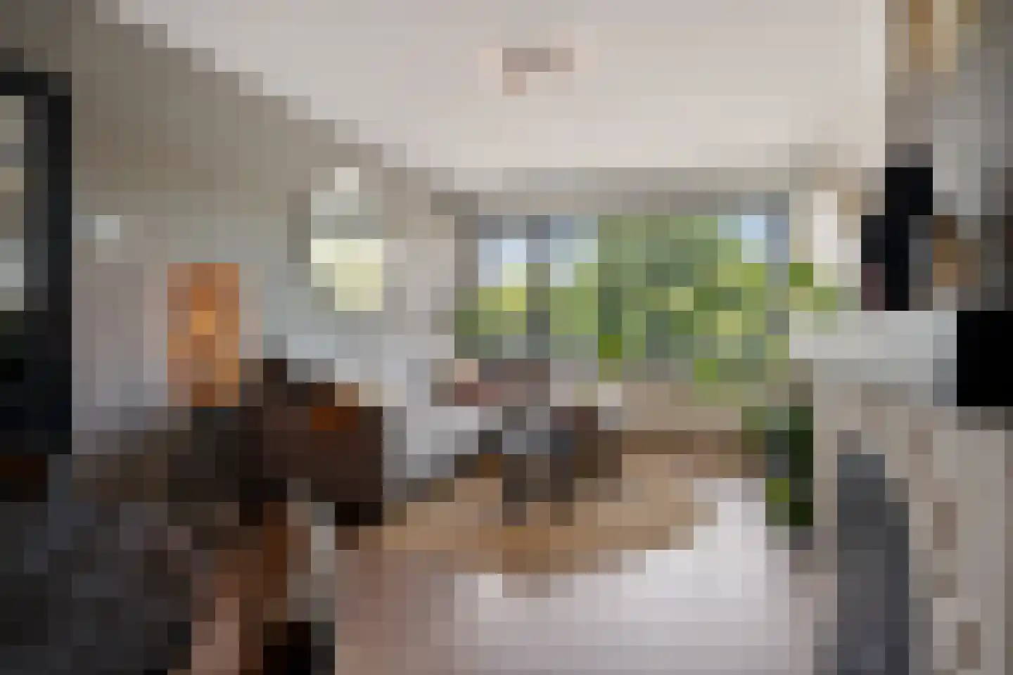 Dr. J. W. Paltelaan 198 Zoetermeer thumbnail 14
